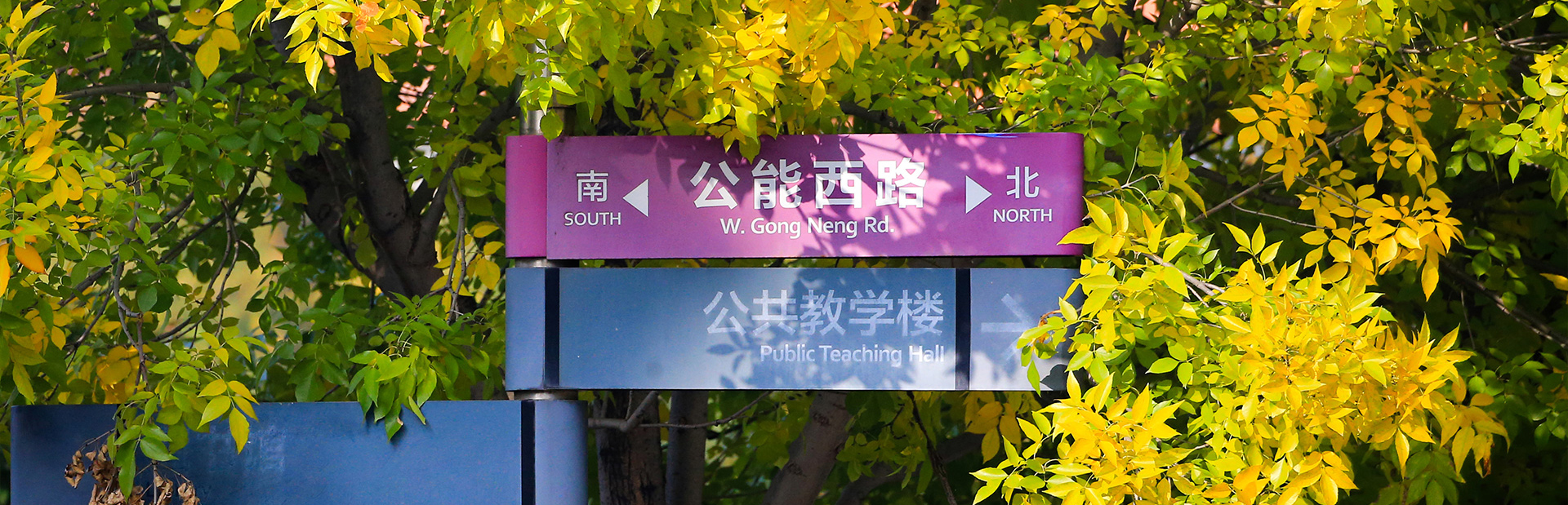 知识产权合作代理机构